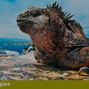 На Краю Архипелага 3