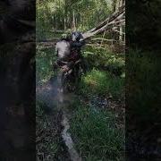 Пиздец Мы В Ловушку Попали
