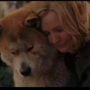 Goodbye Hachiko