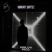 Minilowprog Birat Bitz