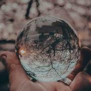 We Are The Sun Mirror Of Errors