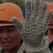Мусофирим Зур Кушик Эшитиб Куринг Охиргача