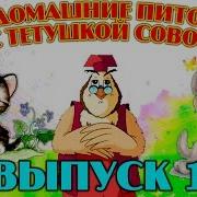 Уроки Тетушки Совы Мои Домашние Питомцы Все Серии Подряд