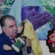 Табрикномаи Президенти Точикистон Эмомали Рахмон Бахшида Ба Рузи Модар