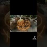 Если Вас Укусила Капибара