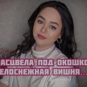 Расцвела Под Окошком Белоснежная Вишня Виктория Барс