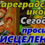 Акафист Иконы Божией Матери Цареградской