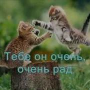 Караоке Христианские Песни С Тобою Друг Прославление И Гимны