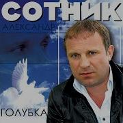 Александр Сотник Лети Мая Голубка