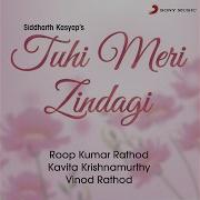 Tuhi To Meri Zindagi Roop Kumar Rathod