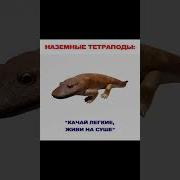 Макс Максимов