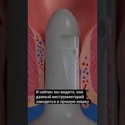 Анал Секс Детей Видео