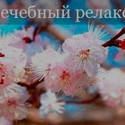 Китайская Народная Музыка Скачать