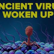 Unknown Virus