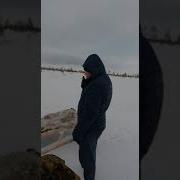Вахта Едет Домой