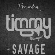 Timmy Trumpet Freaks Radio Edit