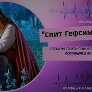 Ксения Павленко