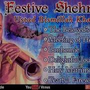 Shehnai Instrumental