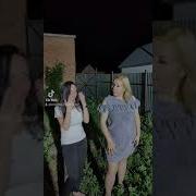 Блондинка Дура Брюнетка
