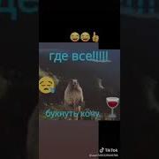 Когда Сильно Хочется Бухать