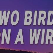 Two Birds On A Wire