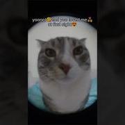 Юнги А Ты Полюбил Меня С Первого Взгляда
