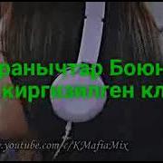Суйуу Суйуу Деп Койот