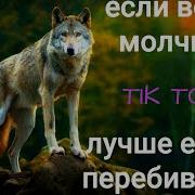 Волк Из Тик Тока