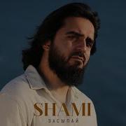Засыпай Shami