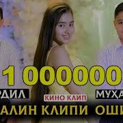 Авалин Клипи Ошики Мухаммад Ва Шердил