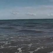 Александр Свияш Нейрокорректор