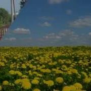 Гэта Беларусь Мая