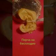 Гадалка Порча На Бесплодие