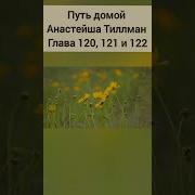 Путь Домой Анастейша Тиллман Глава 120