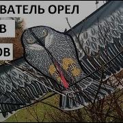 Отпугивание Дроздов