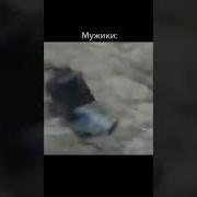 Мем Апчхи