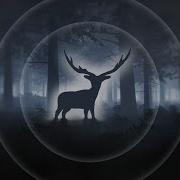 Olivier Boudjema Stag