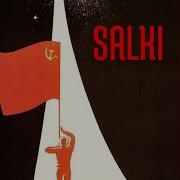 Неуловимые Мстители Salki