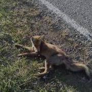 Устала Быть Сильной Устала Быть Мудрой