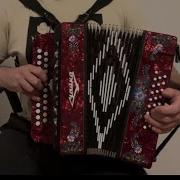 Рябина Кудрявая На Гармони