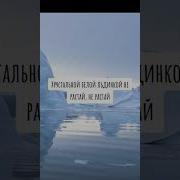 Белые Льдины Группа Цветы