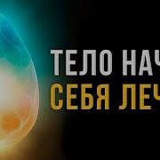 Музыка Которая Лечит Рушель Блаво
