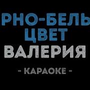 Черно Белый Цвет Минус