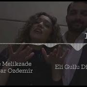 Cinare Melikzade Bahtiyar Ozdemir Eli Gullu Dili Ballim Visualizer