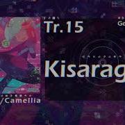 Kisaragi Camellia