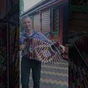 Популярные Песни Под Гармонь