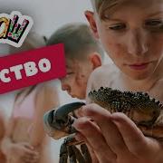 Ералаш Свинство