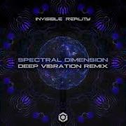 Spectral Dimension Deep Vibration Remix Invisible Reality Deep Vibration