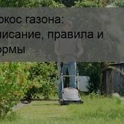 Утром Покос Вечер Подой