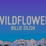 Wild Flower